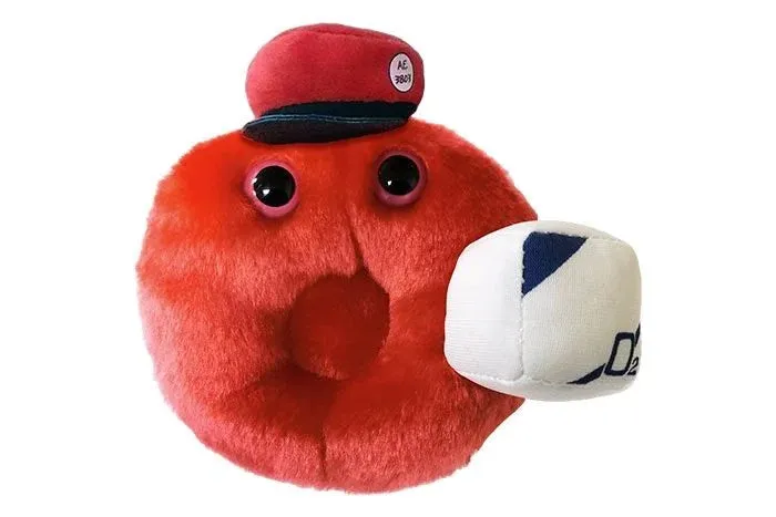 Cells at Work! Red Blood Cell