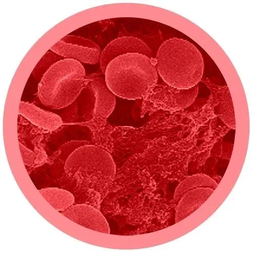 Cells at Work! Red Blood Cell