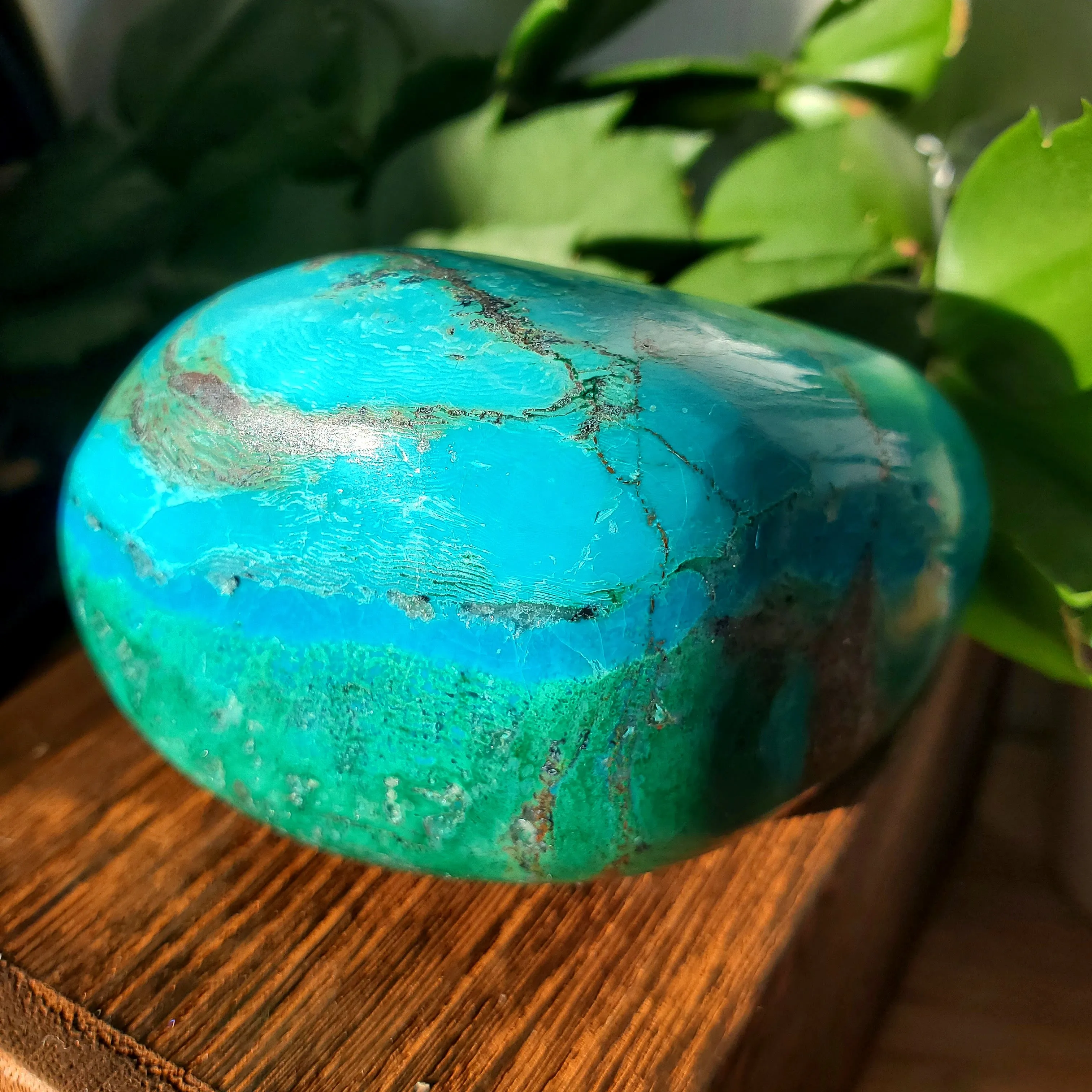 Chrysocolla & Malachite Palmstone #1 (Peru)
