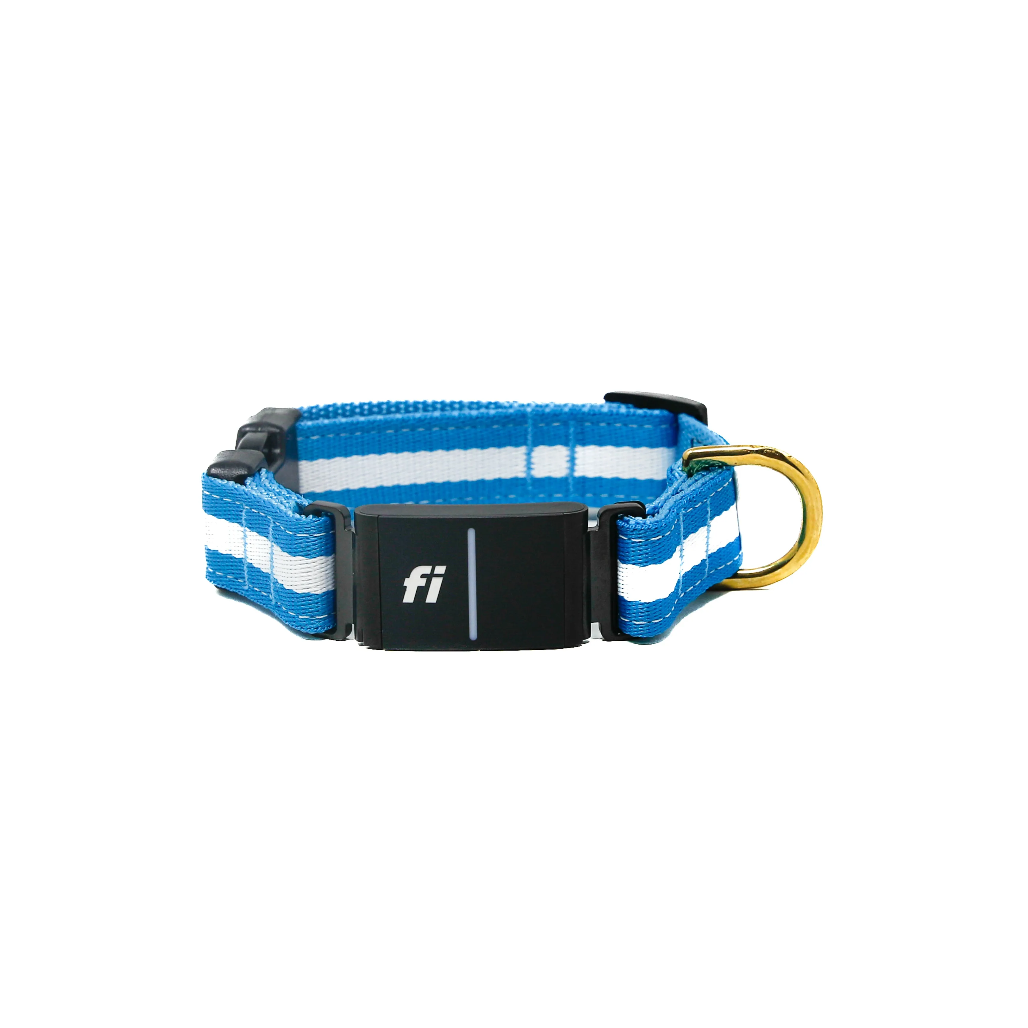 Fi Collar Band - Azul