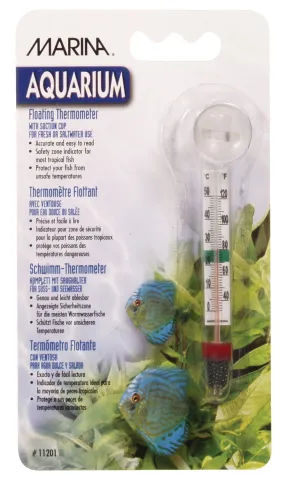 Marina Glass Thermometer