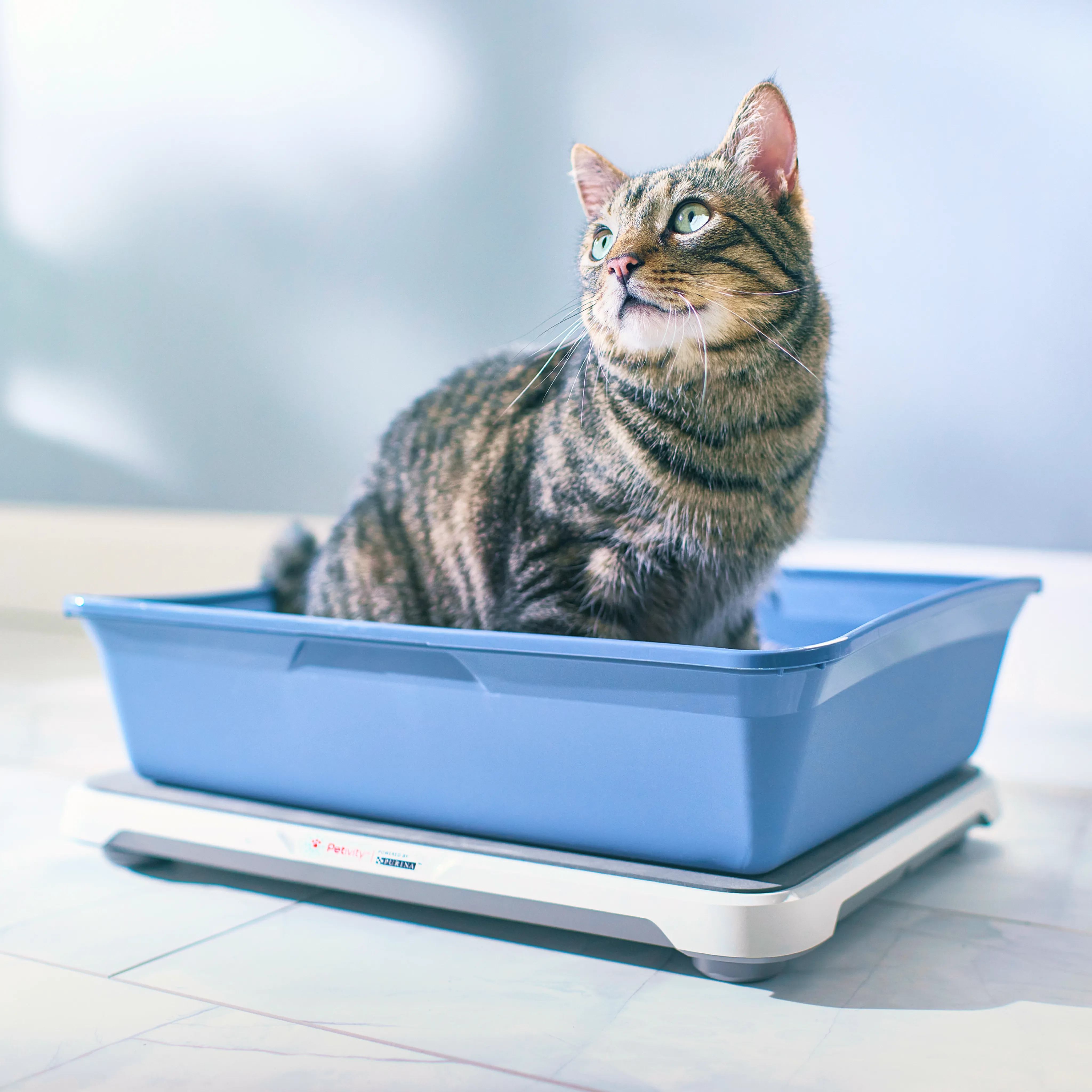 Smart Litter Box Monitor System (Refurbished)
