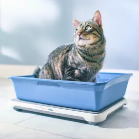 Smart Litter Box Monitor System (Refurbished)
